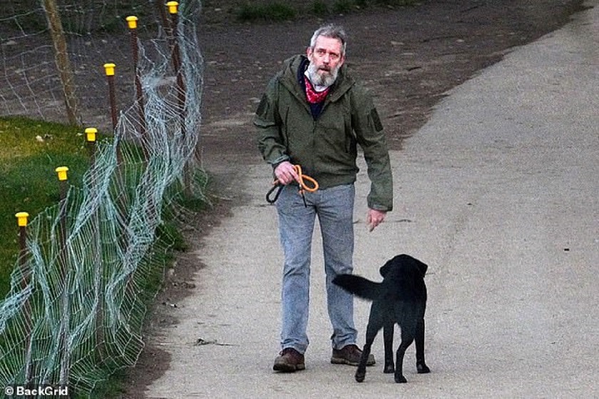 Прогулка с питбулем. Корги обнимашки. Tom dog. Мужик с собакой на поводке. Manliness pictures.